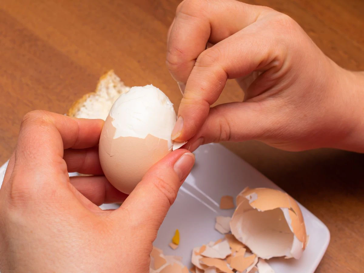 Don't waste eggshells, use them like this