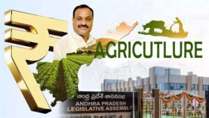 ఏపీ బడ్జెట్ లో వ్యవసాయానికి రూ.48,341.14 కోట్లు కేటాయింపు