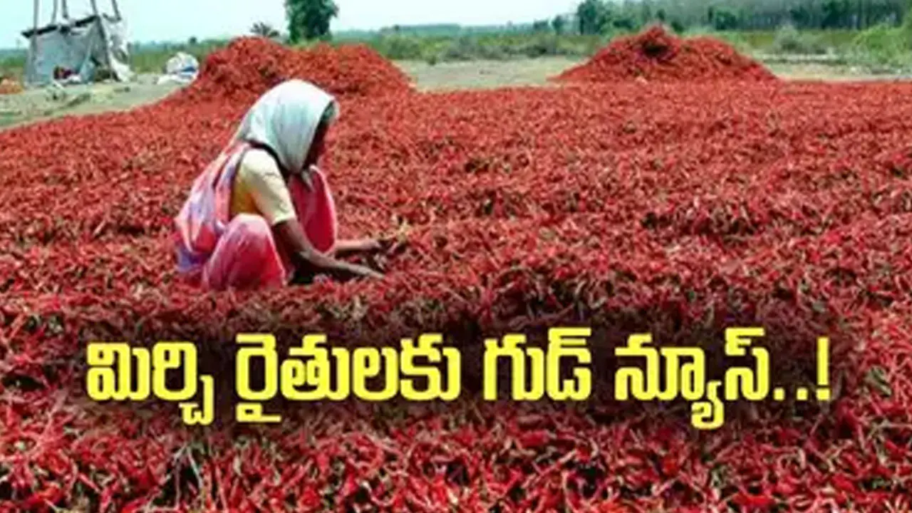 Good News for Chilli Farmers from the Centre.