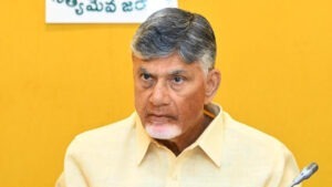 మిర్చి రైతులకి మేలు చేయాలి : సీఎం చంద్రబాబు