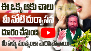 ఈ ఒక్క ఆకు చాలు మీ నోటి దుర్వాసన దూరం చేస్తుంది