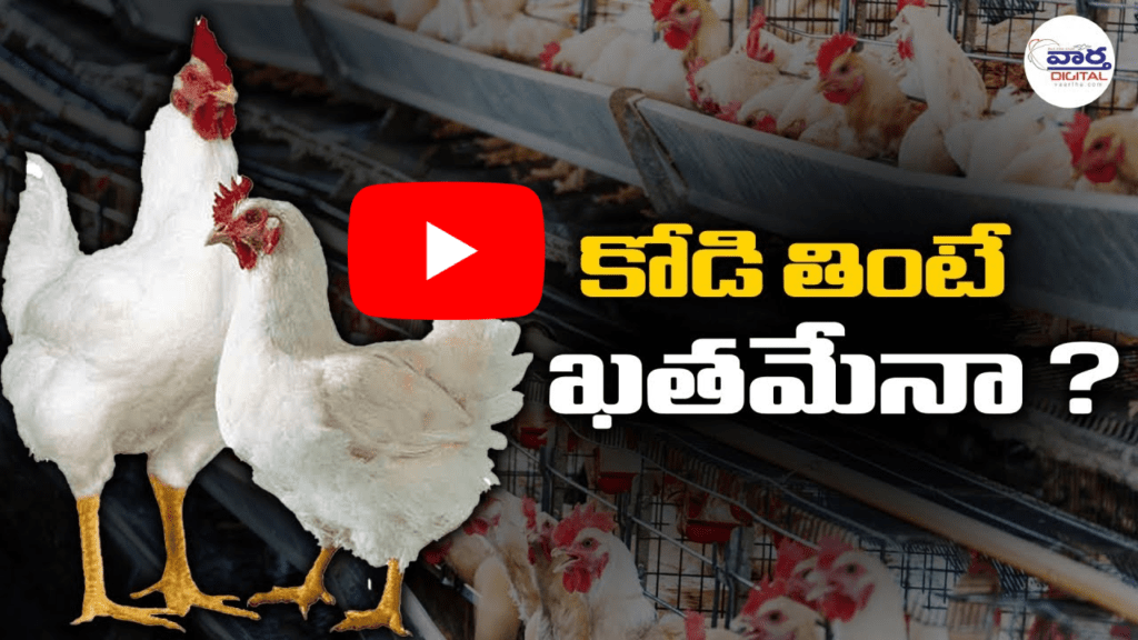 కోడి తింటే ఖతమేనా