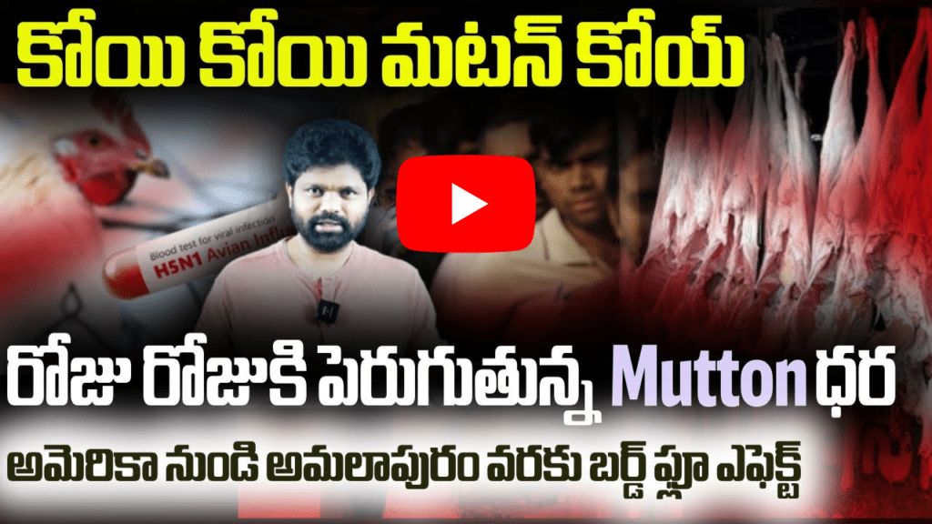 రోజు రోజుకి పెరుగుతున్న మటన్ ధర