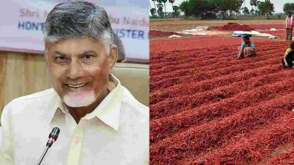 మిర్చి రైతులను ఆదుకునేందుకు కేంద్రం అంగీకారం