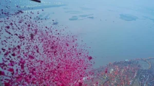 కుంభమేళాలో వసంత పంచమికి పూల వర్షం..