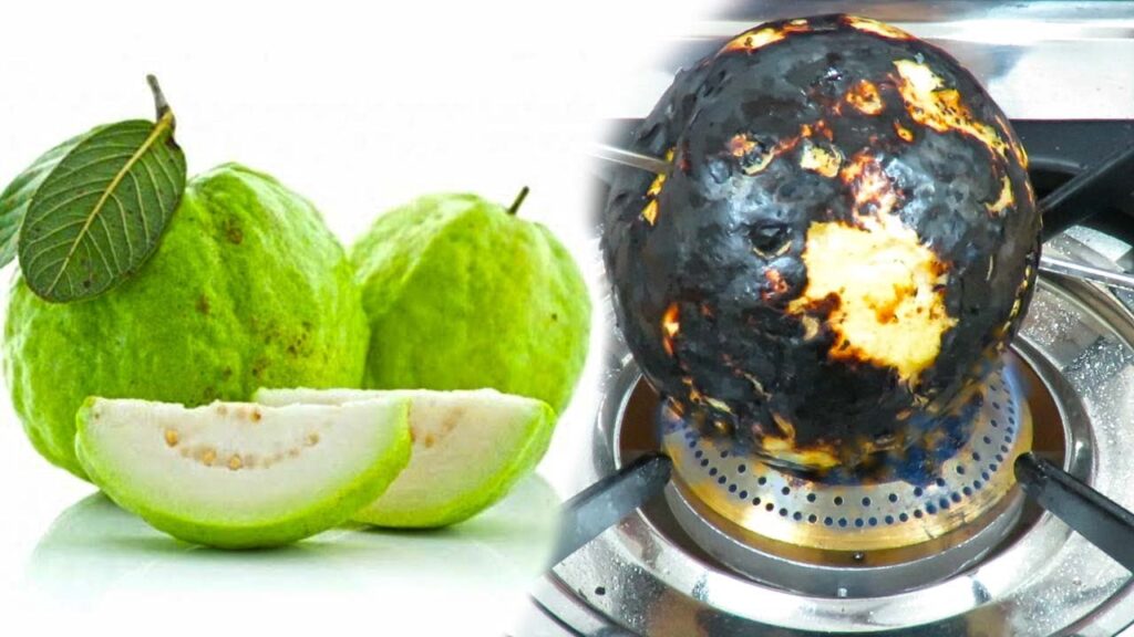 కాల్చిన జామకాయ తినడం వల్ల ఎన్ని ఆరోగ్య ప్రయోజనాలో తెలుసా?