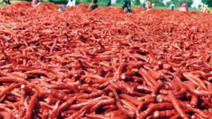 ఏపీలో మిర్చి బోర్డు ఏర్పాటు చేయండి – రఘురామ