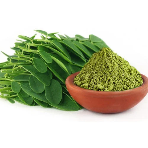 natural drumstick leaves powder 500x500