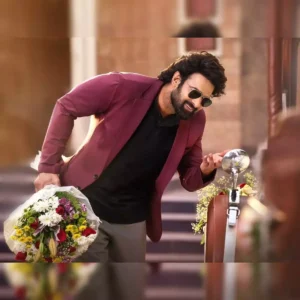 ఒక్క హీరో 7 సినిమాలు..