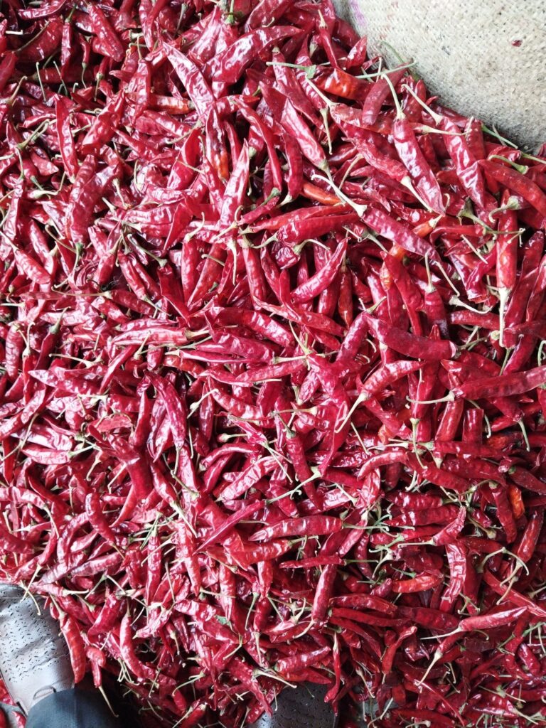 మిర్చి మార్కెట్ లో కల్లోలం ఏపీలో ప్రస్తుతంధరలు ఎలా ఉన్నాయి.