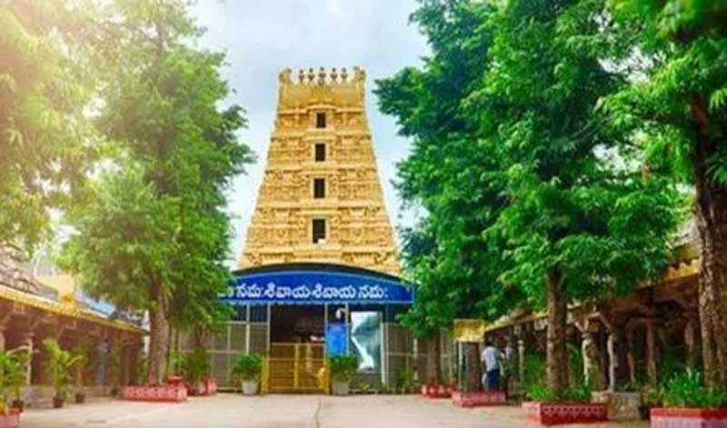 నేటి నుంచి శ్రీశైలంలో బ్రహ్మోత్సవాలు