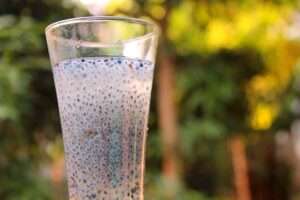 వేసవిలో సబ్జా గింజలు మేలు