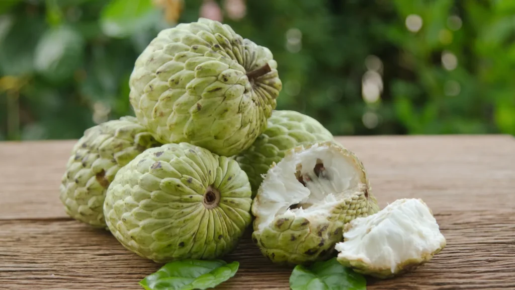 Custard Apple: ఆరోగ్యానిచ్చే సీతాఫలం..