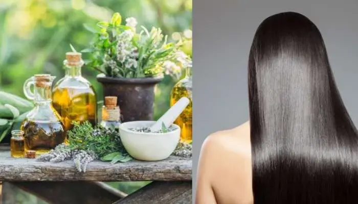 సహజ పదార్థాలతో నల్లని జుట్టు మీ సొంతం