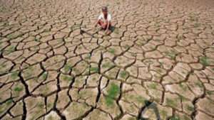 ఏపీలో 51 కరువు మండలాలు గుర్తింపు