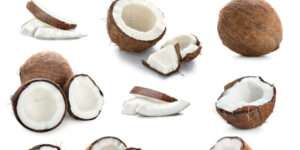 రోజు పచ్చి కొబ్బరి తినడం వల్ల ఎన్ని లాభాలో తెలుసా?