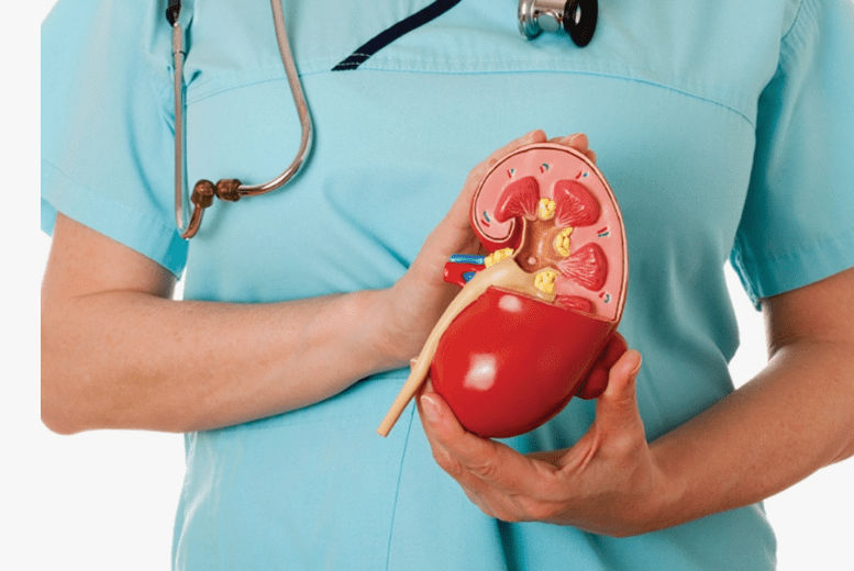  ఈ లక్షణాలు కనిపిస్తే కిడ్నీలకు ప్రమాదమే!