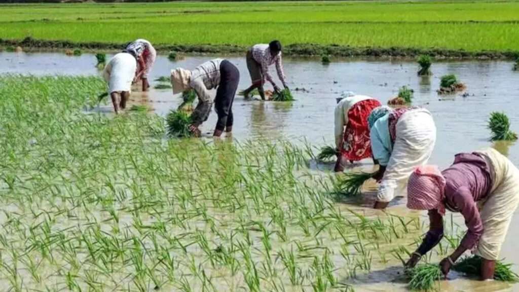 Telangana Budget : రైతు భరోసా పథకానికి భారీగా కేటాయింపులు