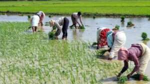 రైతు భరోసా పథకానికి భారీగా కేటాయింపులు