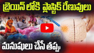 మనిషి మెదడులోకి ప్లాస్టిక్ రేణువులు