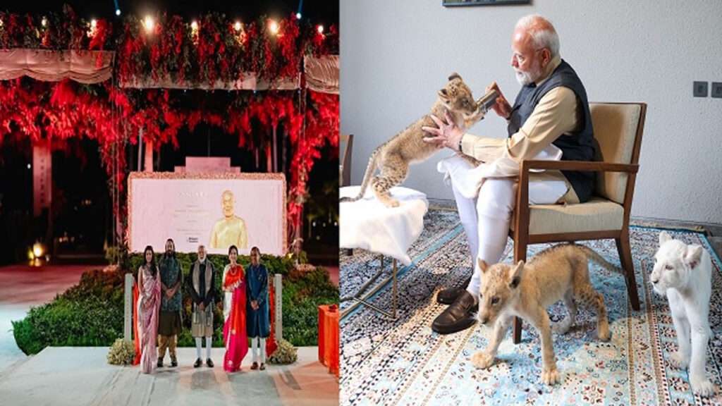 వంతారాలో పులి పిల్లలను ఆడిస్తున్న ప్రధాని