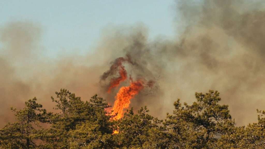 న్యూయార్క్ నగరాన్ని కమ్మేసిన కార్చిచ్చు పొగ