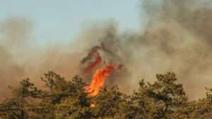 న్యూయార్క్ నగరాన్ని కమ్మేసిన కార్చిచ్చు పొగ