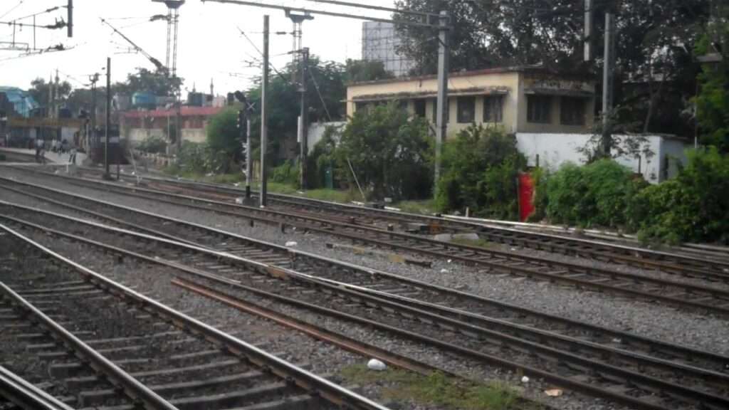 Software Engineer : ప్రాణాలు కాపాడిన సెల్ ఫోన్ వెలుగు!