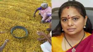 పసుపు బోర్డుకు చట్టబద్ధత లేక ప్రయోజనాలు అందడం లేదు: కవిత