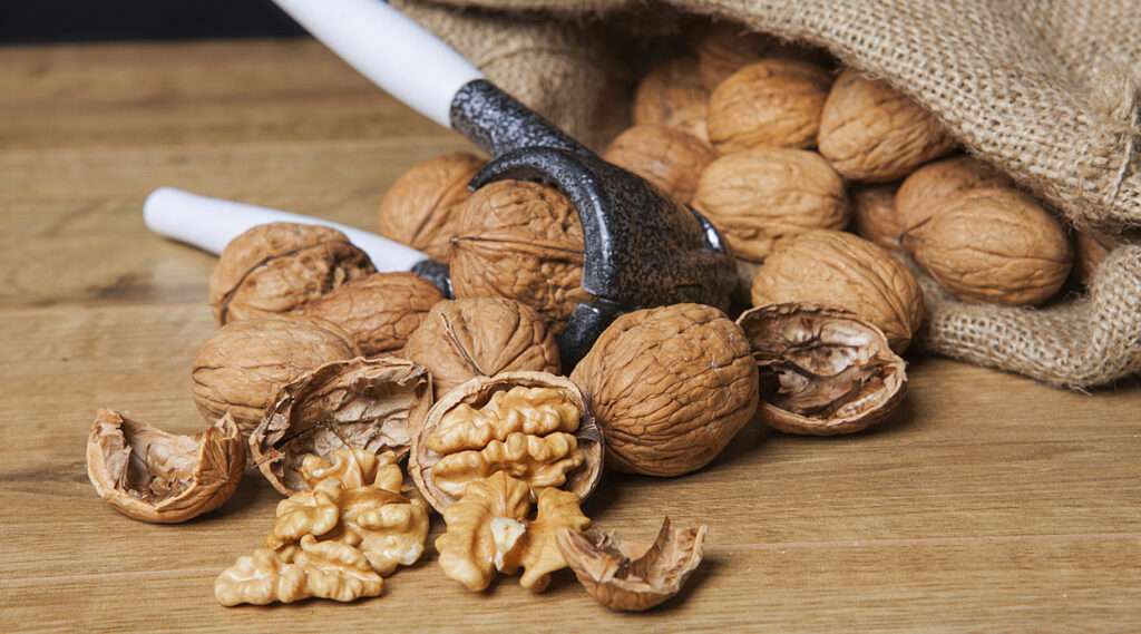 WalNuts:వాల్‌నట్స్ ఎక్కువగా తింటున్నారా!అయితే ఒకసారి వీటిని చదవండి..