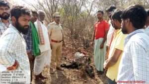 మెదక్ జిల్లాలో చిరుత కలకలం