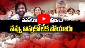 కళాకారుల అద్భుత ప్రదర్శన