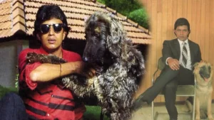 కుక్కల కోసం కోట్ల ఆస్తి రాసిచ్చిన స్టార్ హీరో