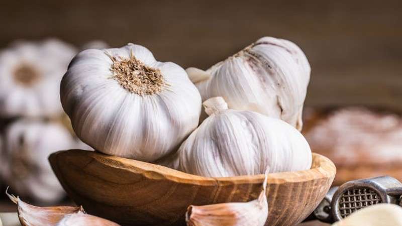 Garlic: వెల్లుల్లిలో వేల ప్రయోజనాలు