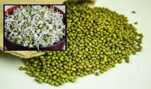 షుగర్, బీపీ నియంత్రణకు ఇవి ఎంతో మేలైనవి: పెసలు