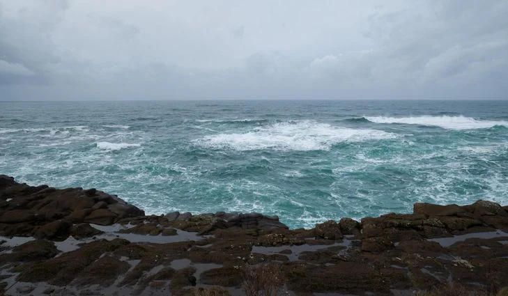  మహాసముద్రంలో 7500 సూక్ష్మజీవులను కనుగొన్న చైనా శాస్త్రవేత్తలు