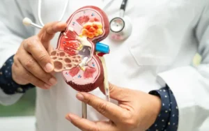 కిడ్నీలో రాళ్ళు ఎందుకు ఏర్పడుతాయి?