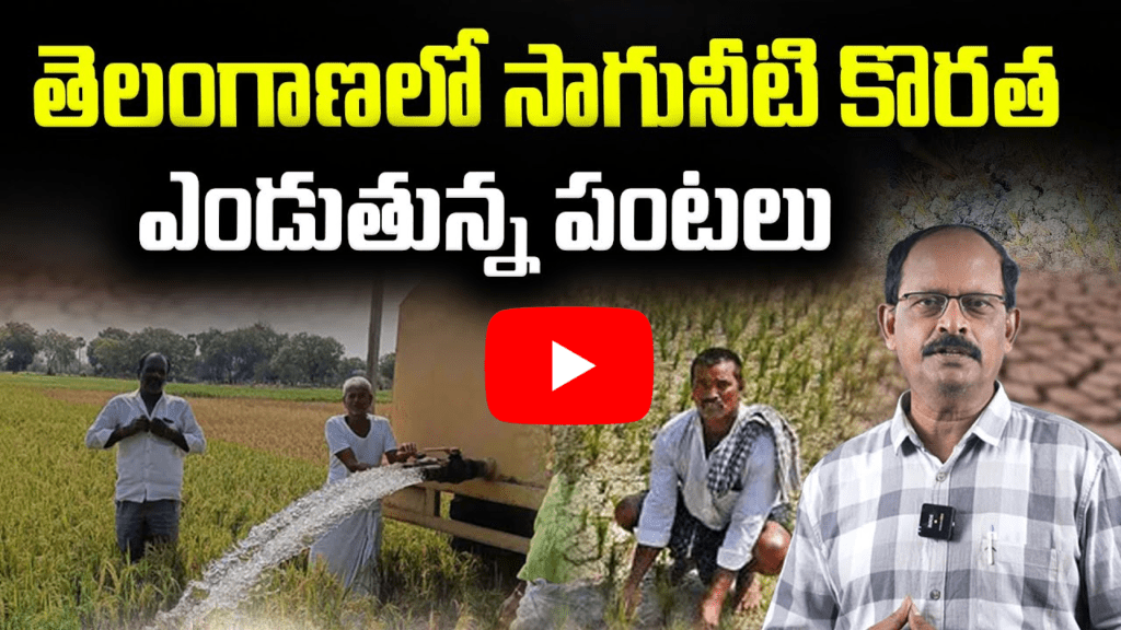 సాగునీటి కొరత 