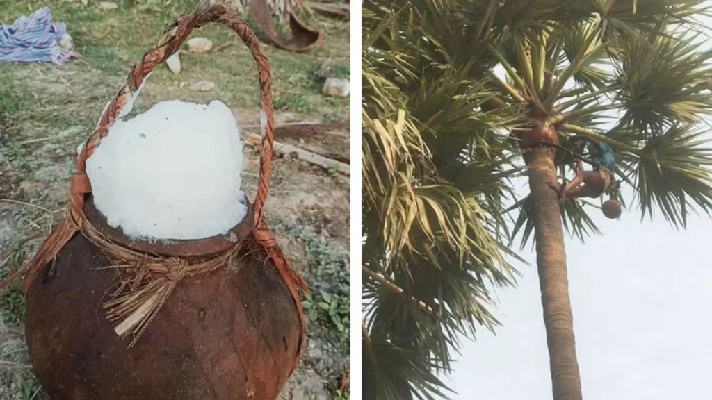 Health: తాటికల్లుతో బోలెడన్ని ప్రయోజనాలు