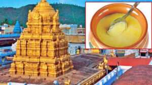 కల్తీ నెయ్యి కేసు నిందితులకు మరోసారి కస్టడీ