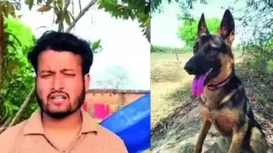 యజమానిని కాపాడేందుకు బలయిన కుక్క