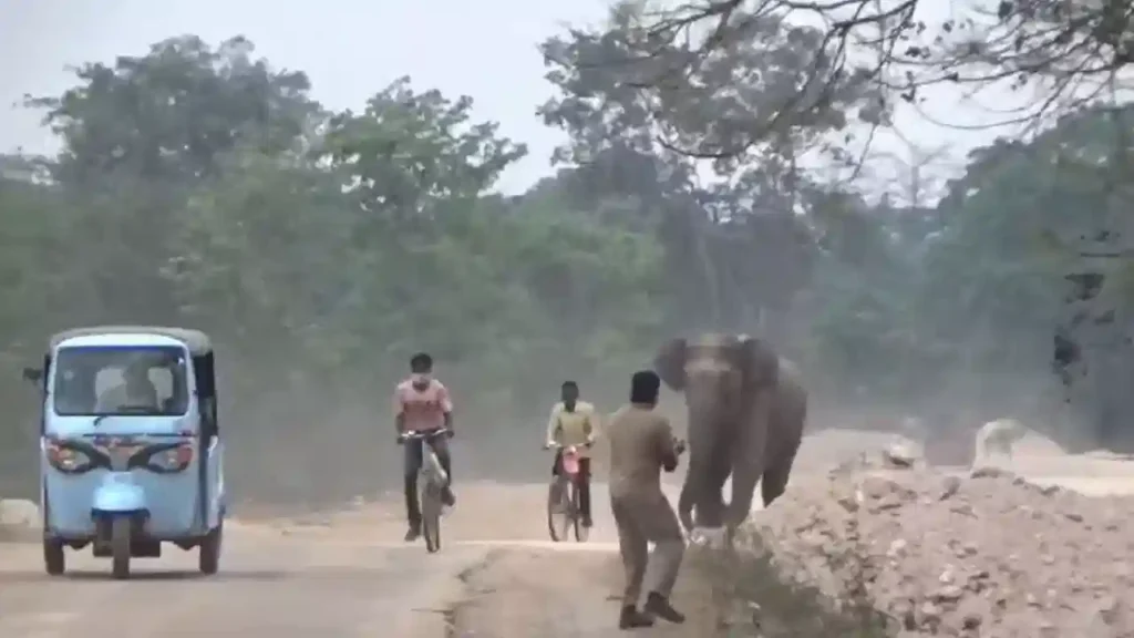 Elephant attack: ఏనుగు దాడి నుంచి తృటిలో తప్పించుకున్నారు