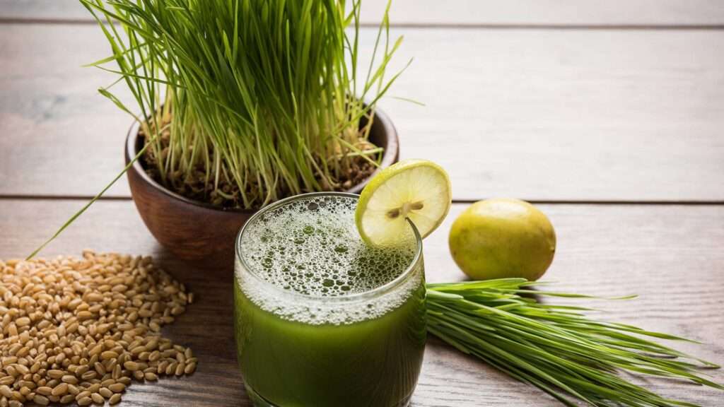 WheatGrassJuice: ఈ జ్యూస్ తాగితే ఆరోగ్యం మీ చెంతే