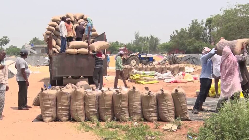 Telangana: తెలంగాణలో మొదలైన ధాన్యం కేంద్రాలు