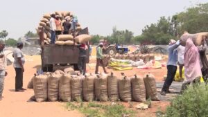 తెలంగాణలో మొదలైన ధాన్యం కేంద్రాలు