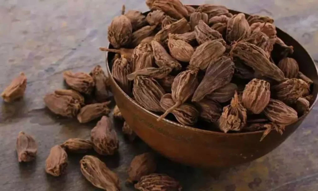 1600x960 294236 web image