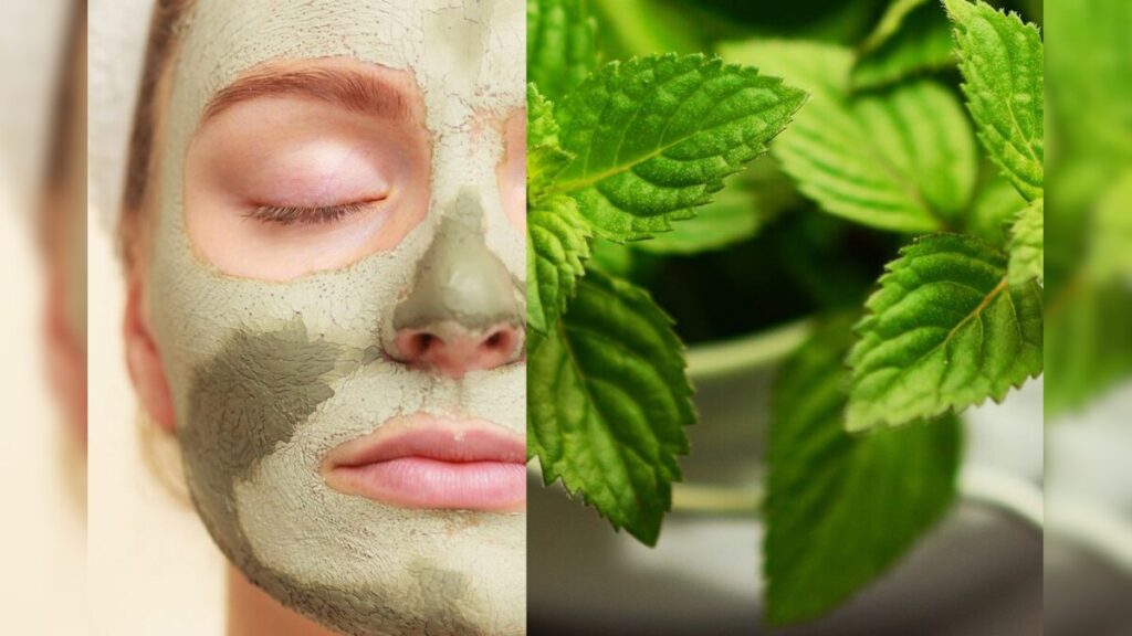 రోజువారీ ఆహారంలో పుదీనా తీసుకోండి