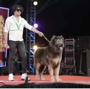 కొంప ముంచిన ప్రచారం..రంగంలోకి ఈడి అధికారులు