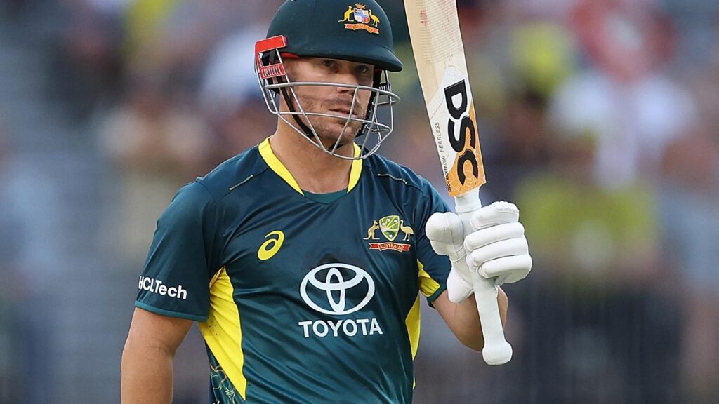 David Warner: టీ20 క్రికెట్‌లో చరిత్ర సృష్టించిన డేవిడ్ వార్నర్