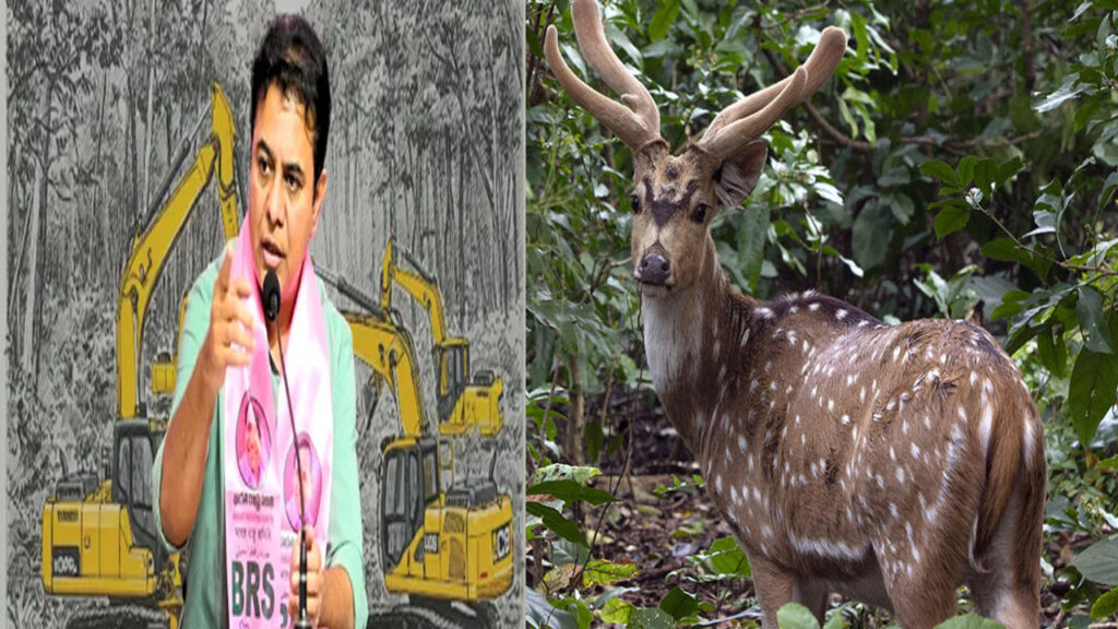 KTR : జింక మృతికి కారణమైన వారిపై చర్యలు తీసుకోవాలి : కేటీఆర్